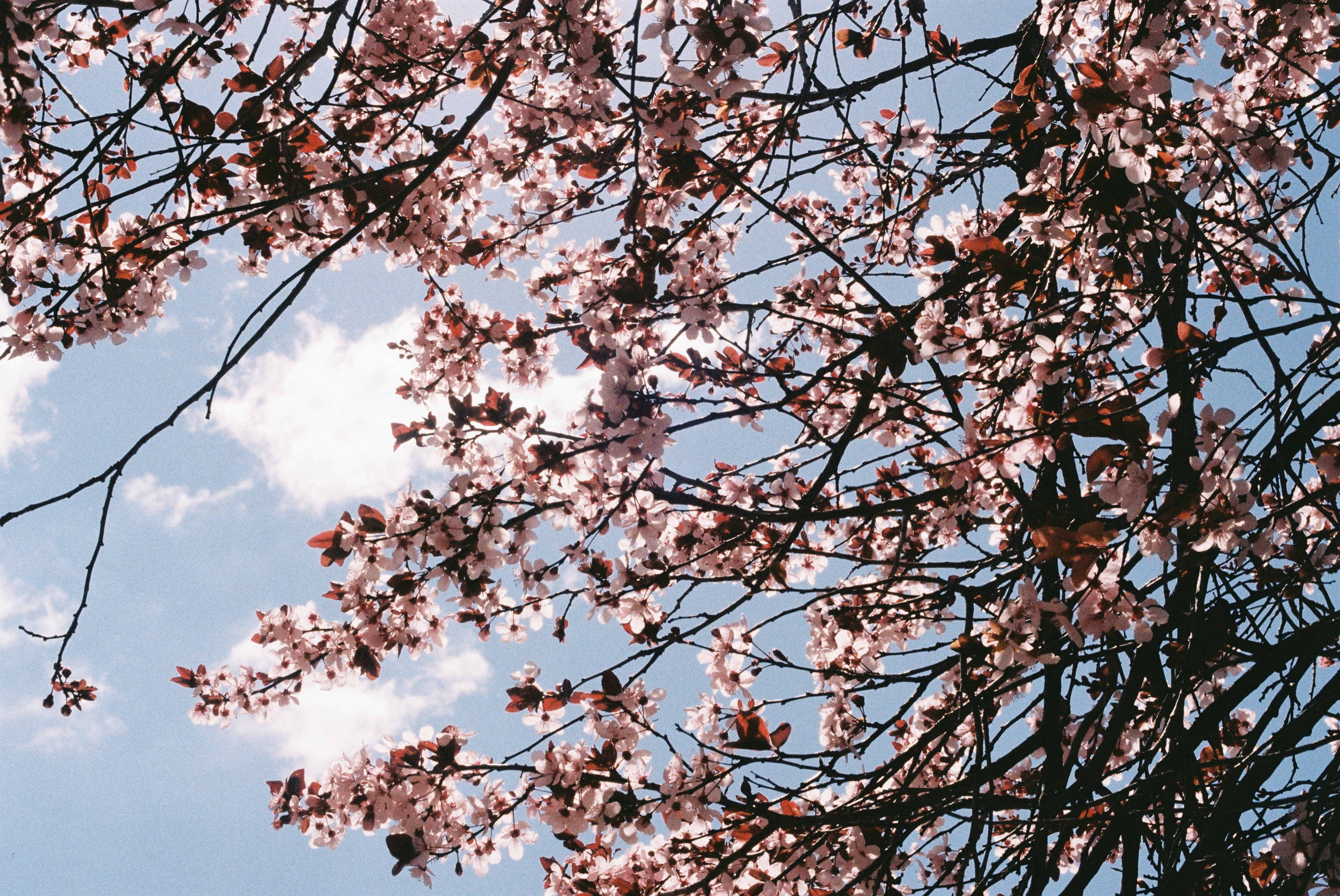 Photography sample 1