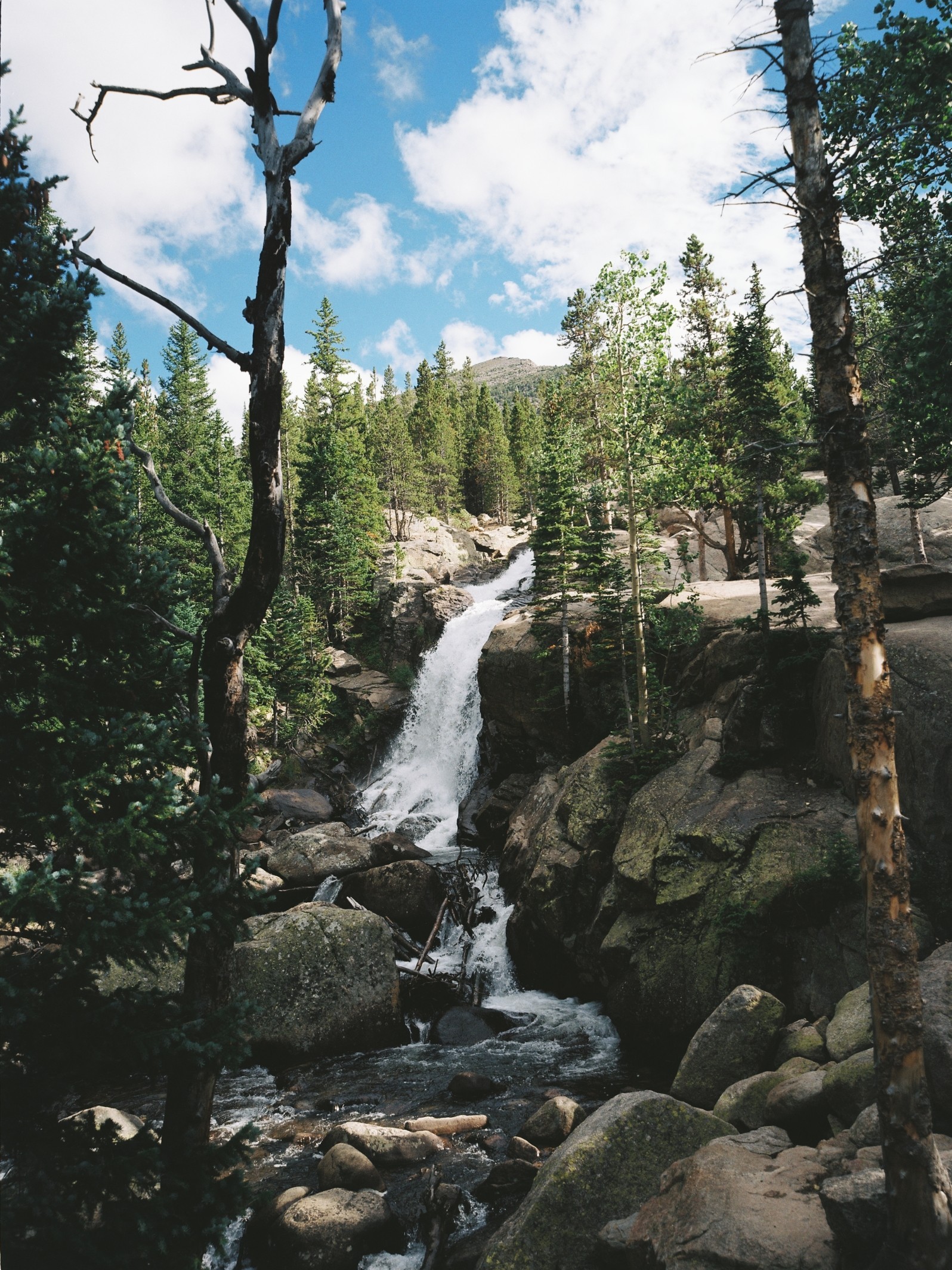 Photography sample 2